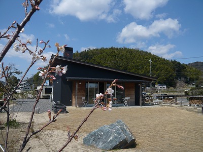 P1110597.jpg