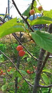 110508_1340~01.jpg